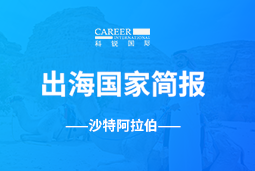 太阳成tyc234cctycGO GLOBAL | 沙特阿拉伯国家简报